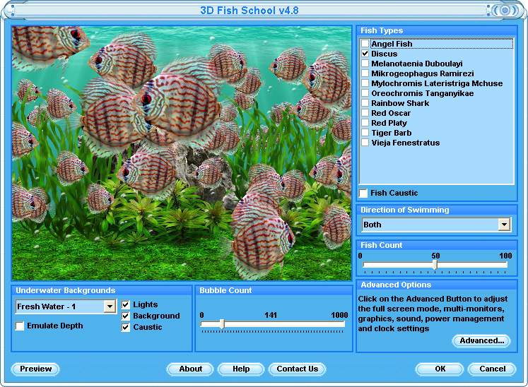 Discus Fish