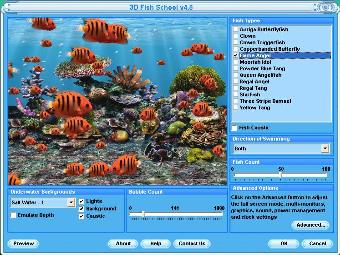 flame angel marine fish tank screensaver