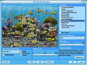 fish tank wallpaper. Regal Angel Fish Screensaver