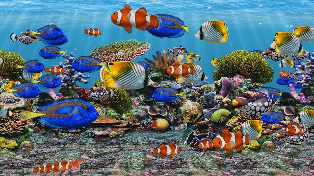 aquarium fish live wallpaper for desktop