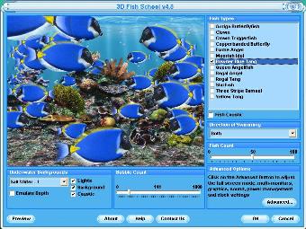 blue tang marine fish tank screensaver
