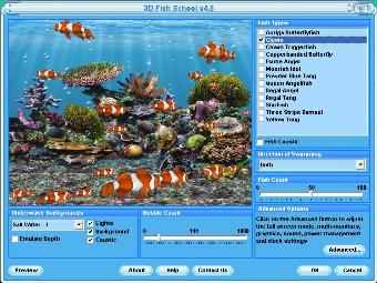 Clown Fish Screensaver