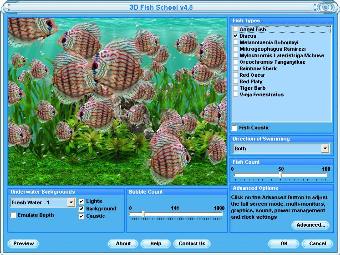 Screensaver of Discus fish