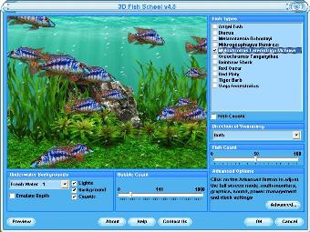Mylochromis Lateristriga Mchuse Screensaver