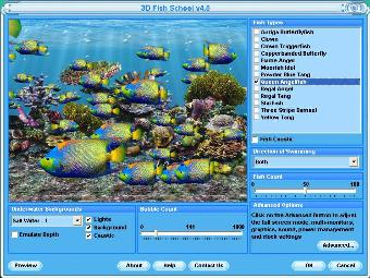 queen angelfish marine fish tank screensaver