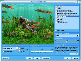 Rainbow Shark Screensaver