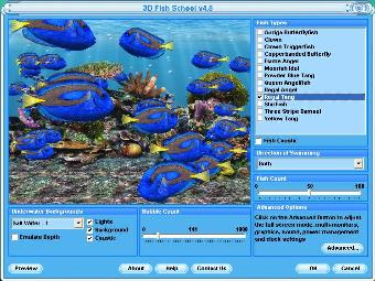 Moving Regal Tang Fish Screensaver Windows 10 Free Download