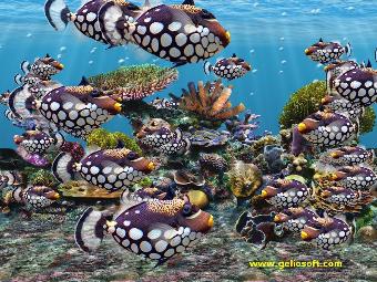 animated clown triggerfish 3d fish