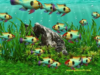 screensaver mikrogeophagus ramirezi