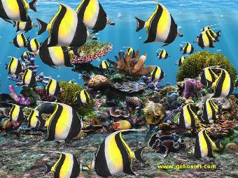 Moorish Idol fish background