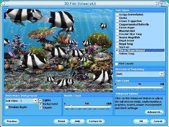 three stripe damsel marine fish tank screensaver