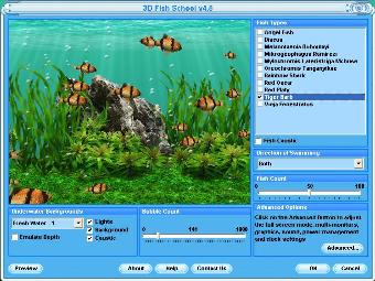 Tiger Barb Fish Screensaver