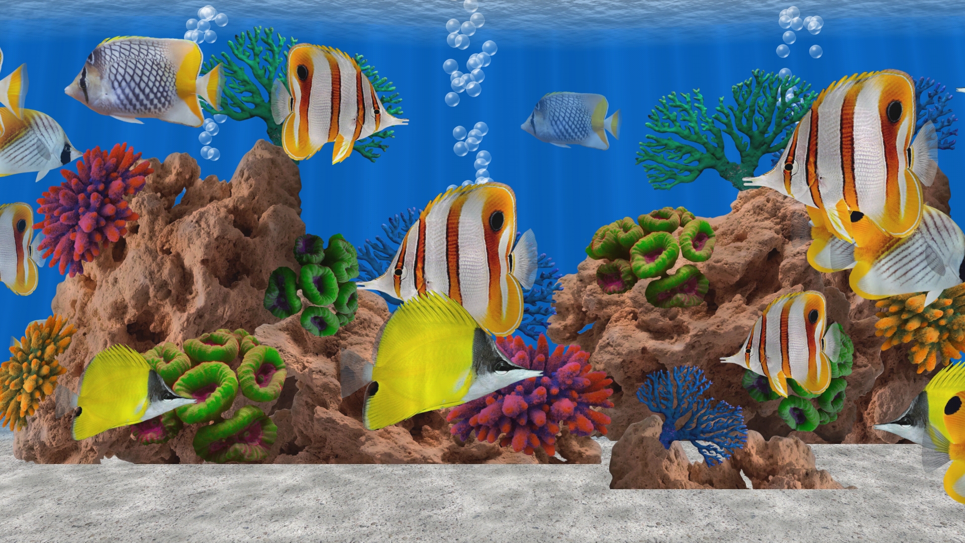 3D Butterfly Fish Tank Aquarium